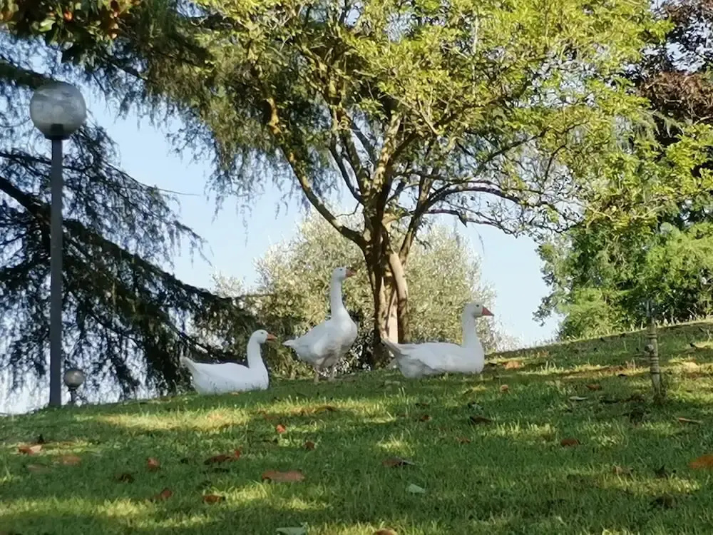 Airone House, Perfect Retreat for a Relaxing Vacation Just a few Steps From Rome