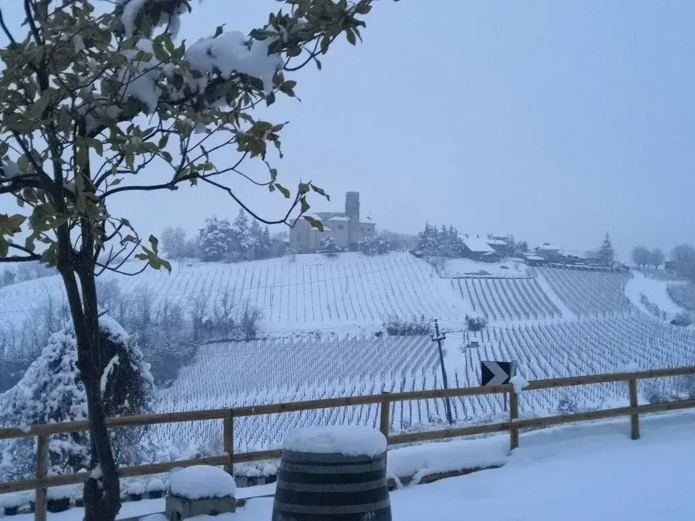 700 Enolocanda