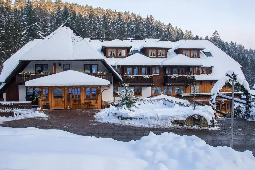 Hotel Tannenmühle - Général