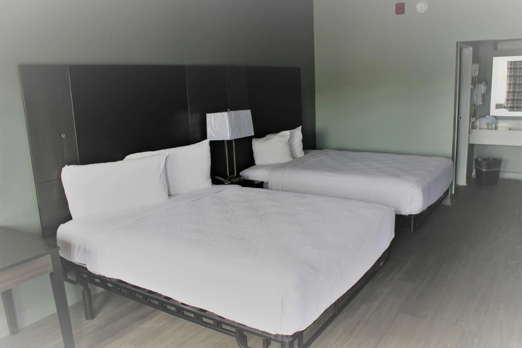 Quadruple Suite
