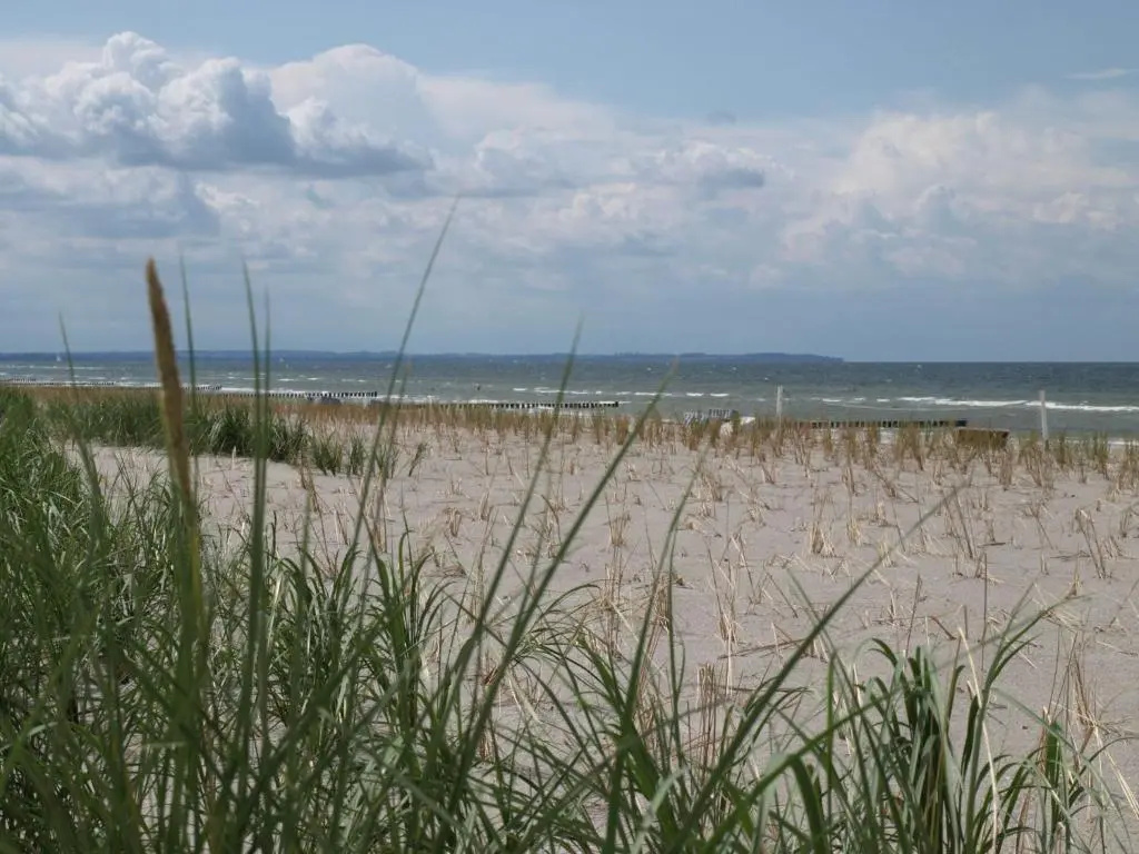 Beach & Waterfront