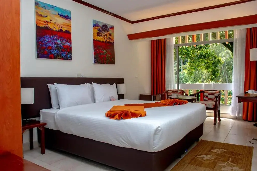 Premium Double room (full double bed)