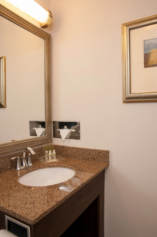 Holiday Inn Chicago West - Itasca - Général