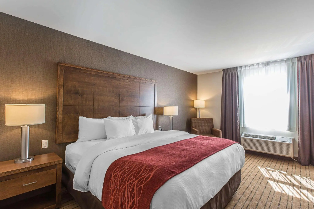 Standard Double Basement room (full double bed)