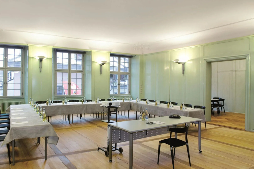 Tailormade Hotel RÜDEN Schaffhausen - Général