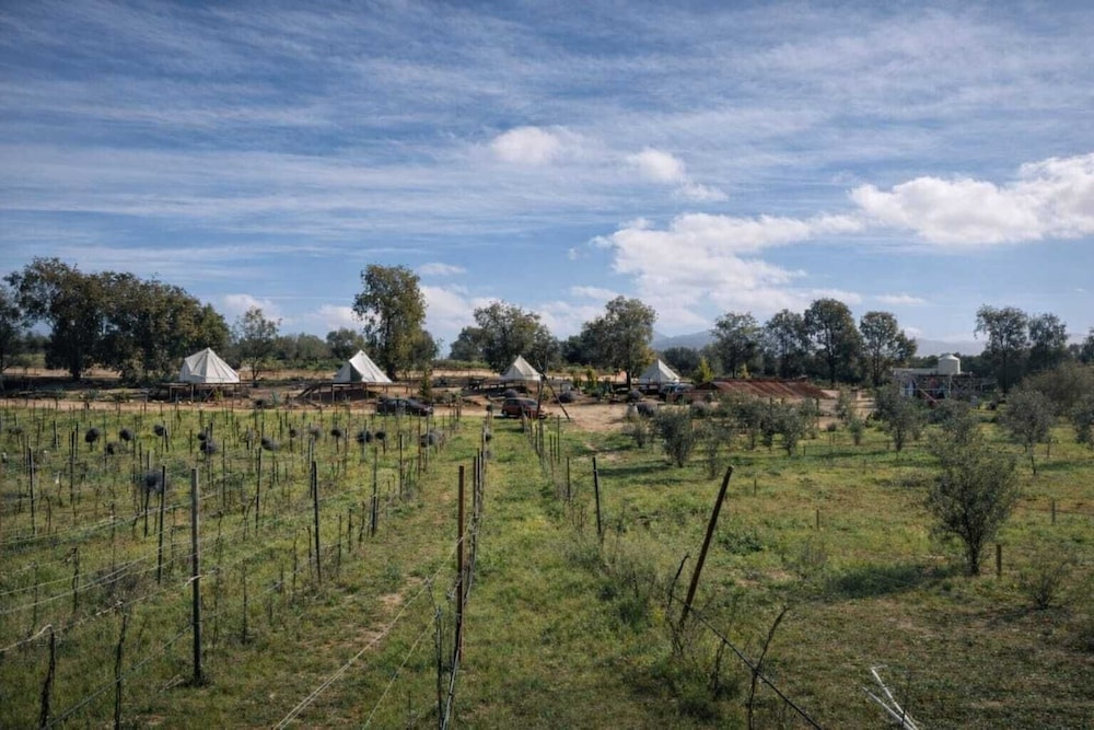 Cosmo Glamping