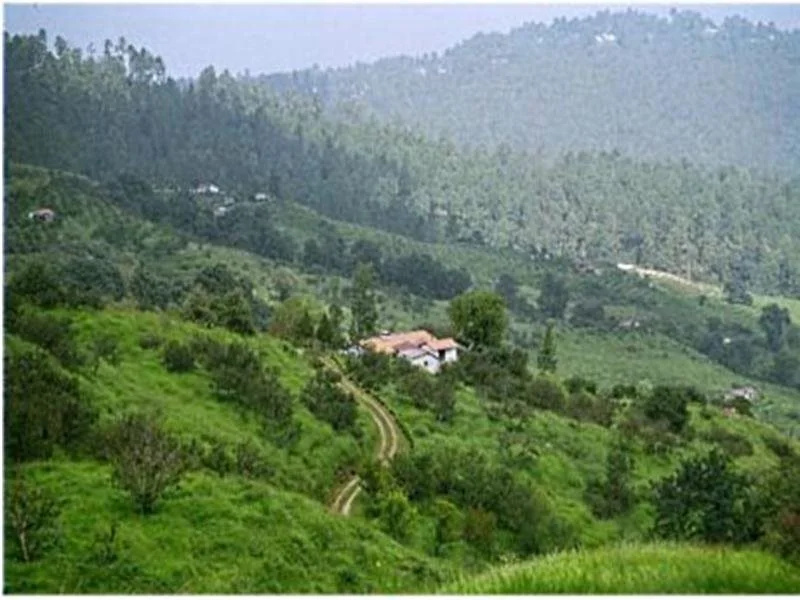 Ranikhet Grand