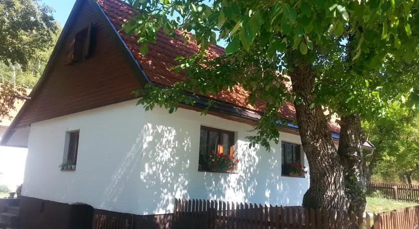 Eco camp Rizvan City (Velebit)