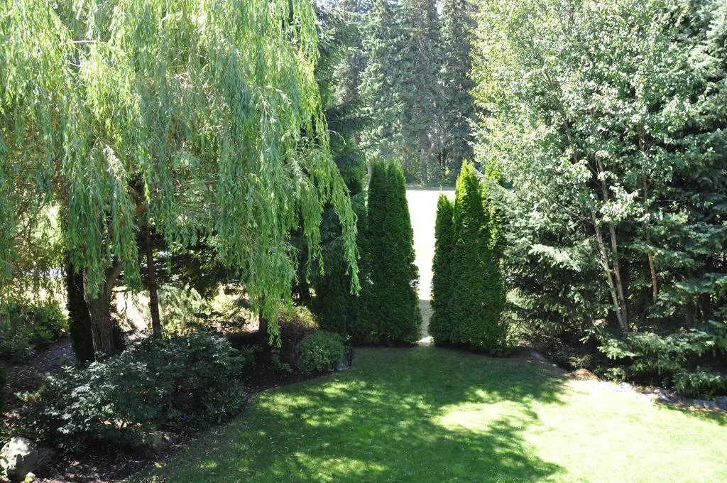 The Gleneagles Chalet - фото 9