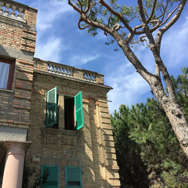 image url