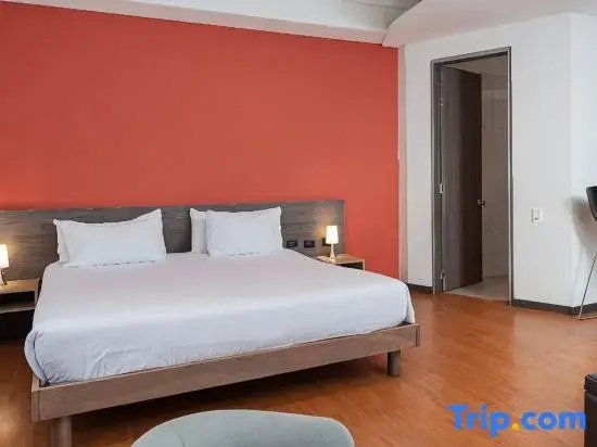 Grand Apartment