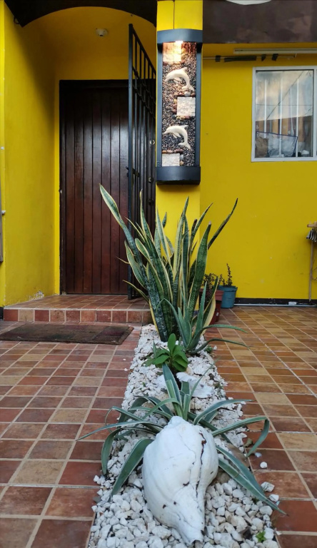 Casa Tortuga En Cancún