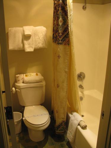Image 23