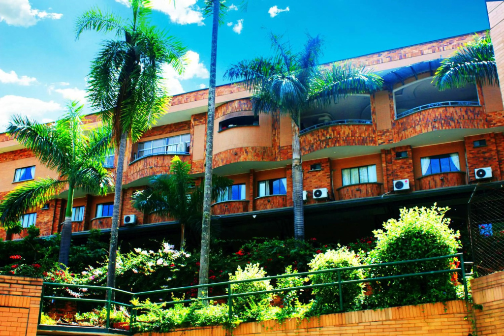 Palmera Real