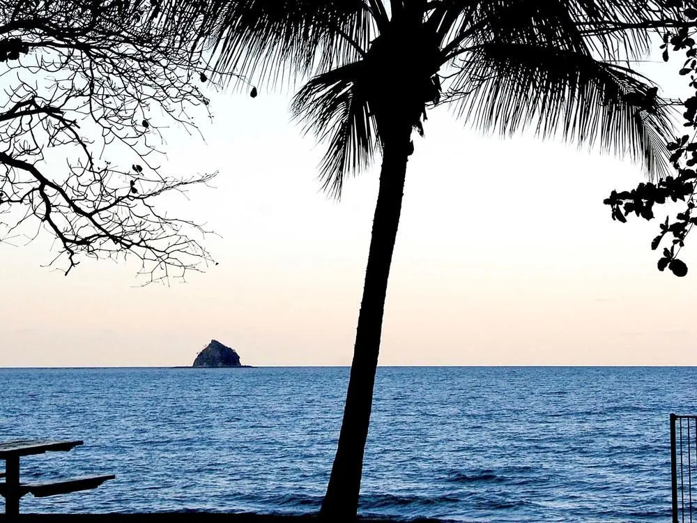 Beach & Waterfront