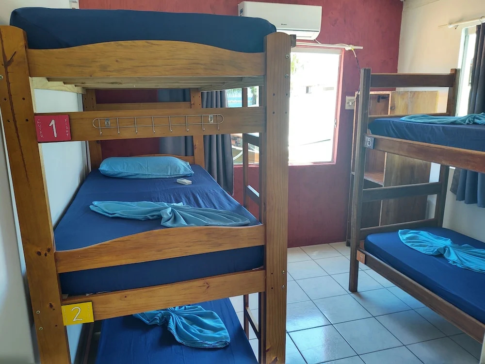 Bed in Dorm (female dorm)
