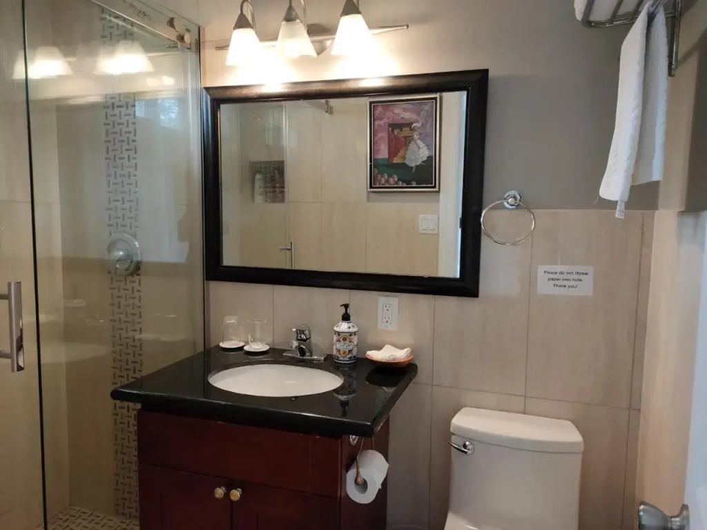 Semi Centre House - фото 42