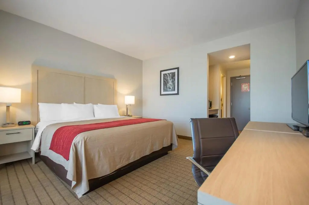 Comfort Inn & Suites - Chambres