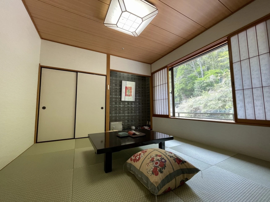 Standard room with mountain view