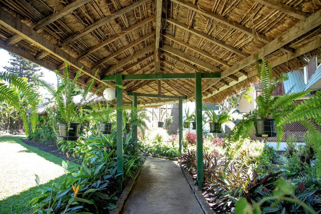 Bird Of Paradise Hotel