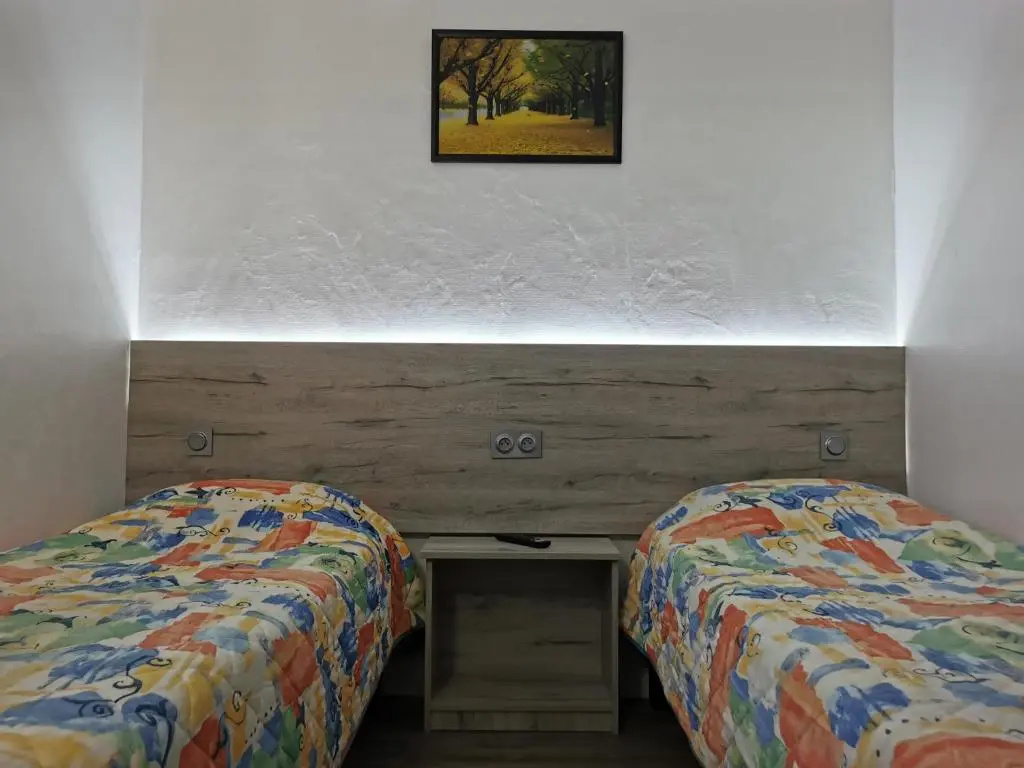 Standard Double room (twin beds)