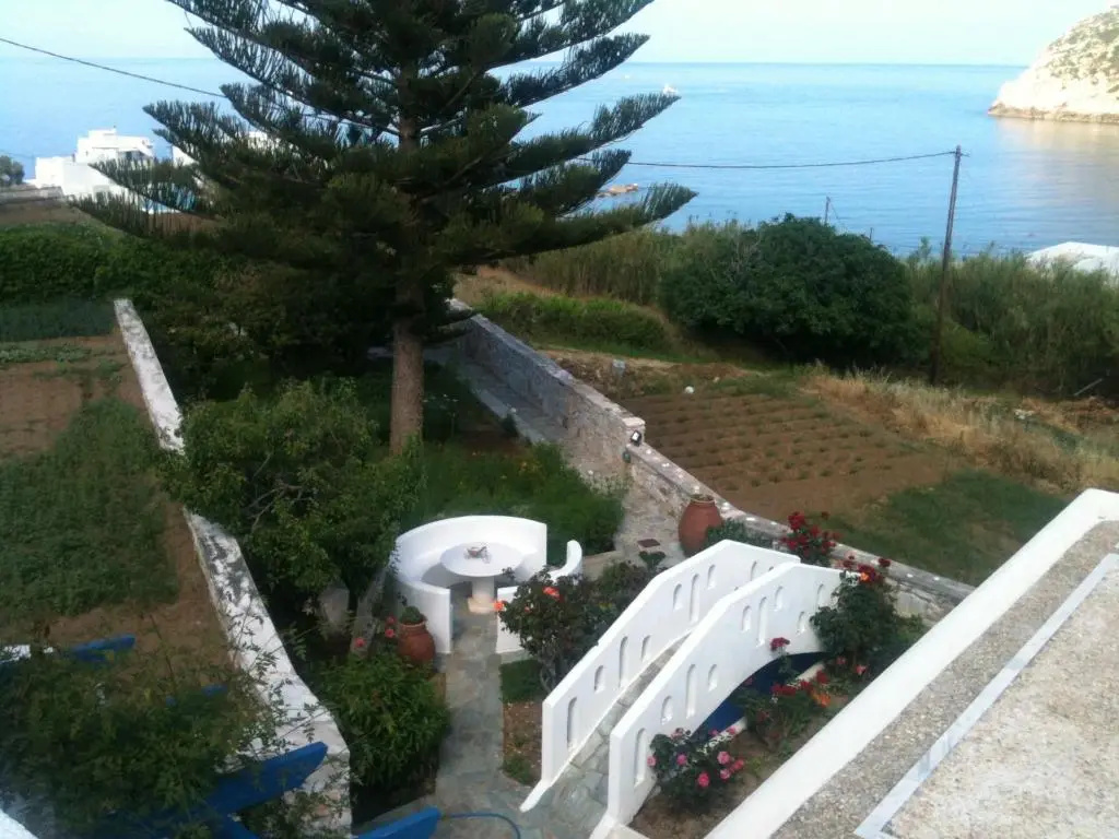 images