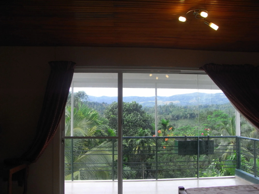 Rainforest Lodge - Général
