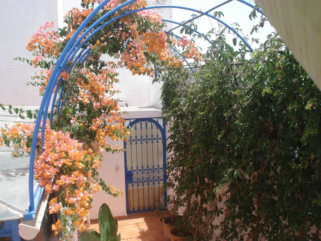 Riad Marlinea - Général