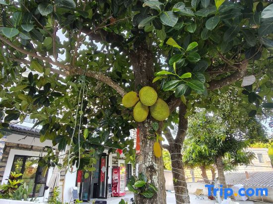 Hisea Brim Guesthouse