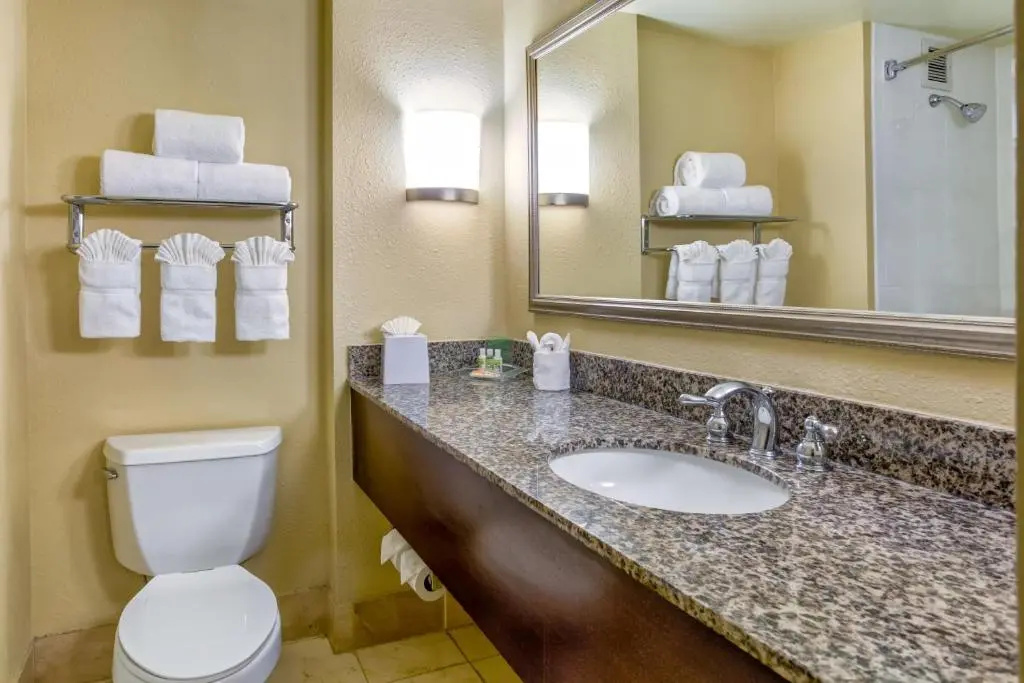 Holiday Inn Indianapolis Carmel by IHG - Chambres