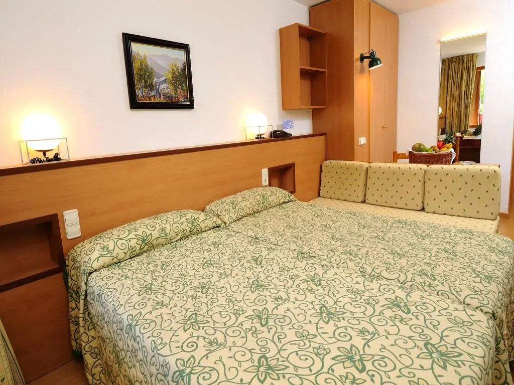 Standard Double room (full double bed)