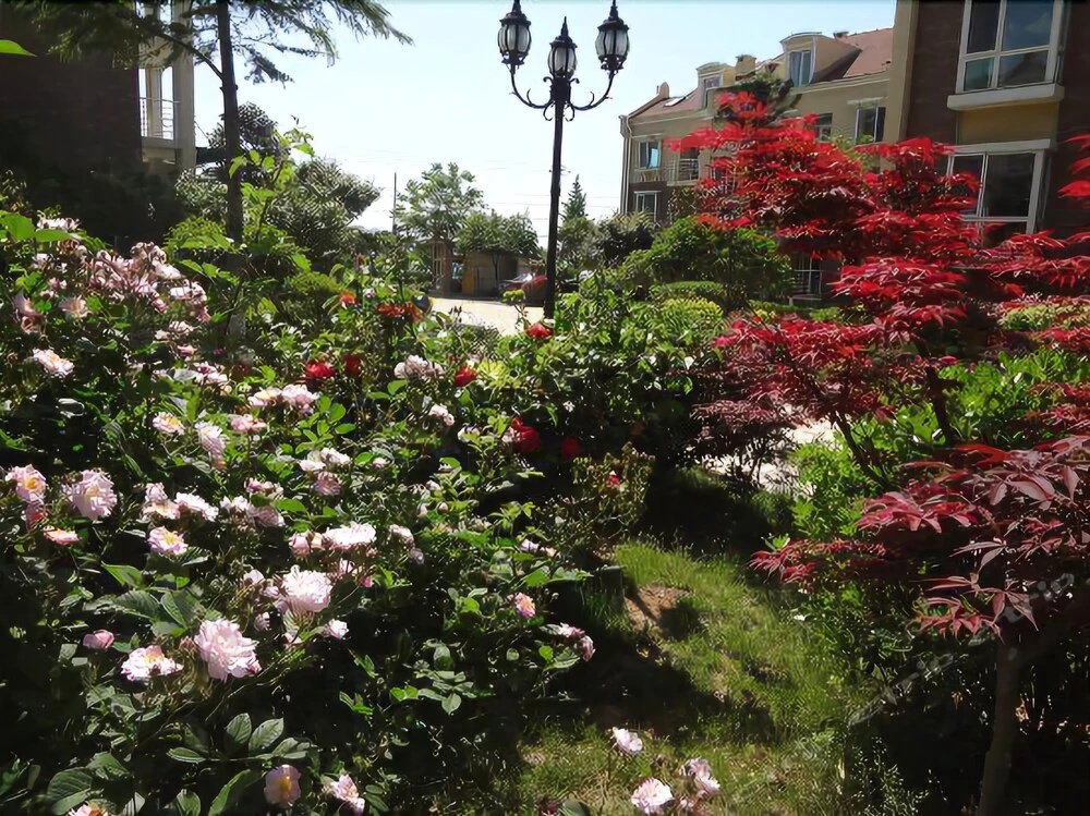 Qingdao Oceanside Hotel & Resort - Général
