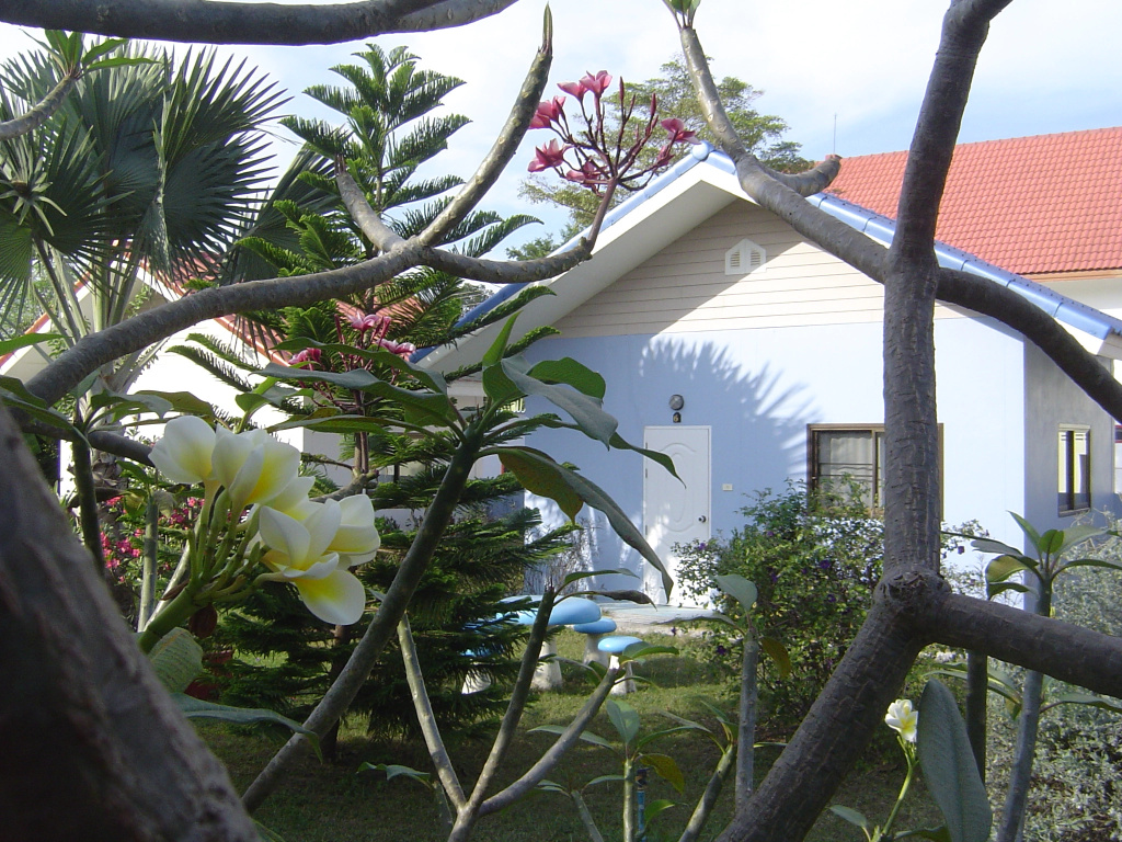 Bungalow with garden view