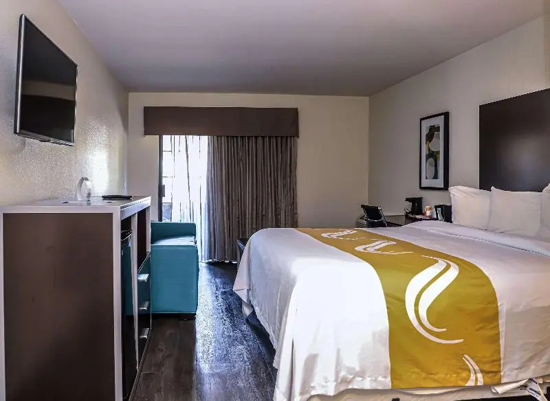 Standard Suite
