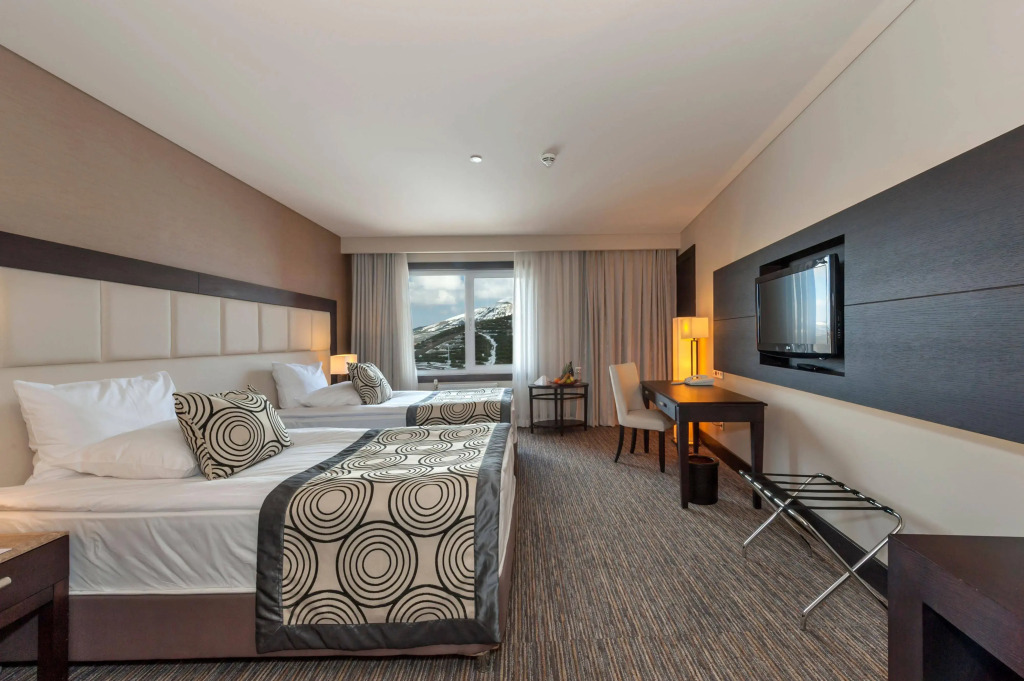 Sway Hotels — фото 6