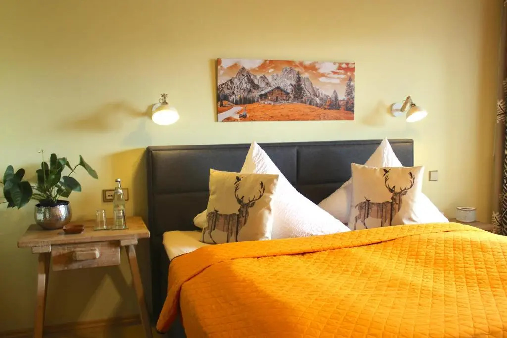 Standard Double room with mountain view (full double bed)