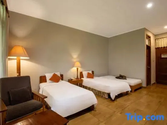 Deluxe Double room (twin beds)