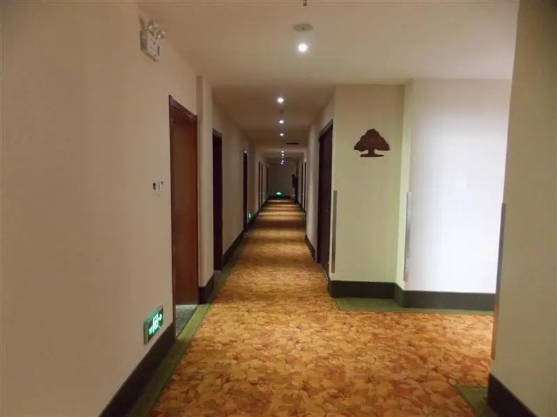 GreenTree Inn Linyi Junan Tianqiao Road Hotel - Général