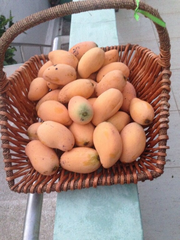 Appart'hotel Costa Verde