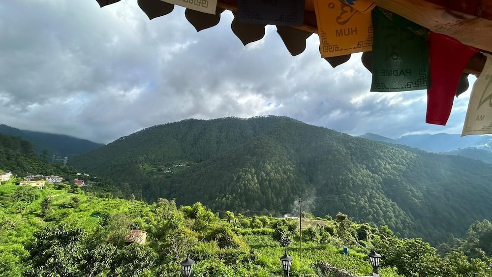 Mehra paradise and cafe