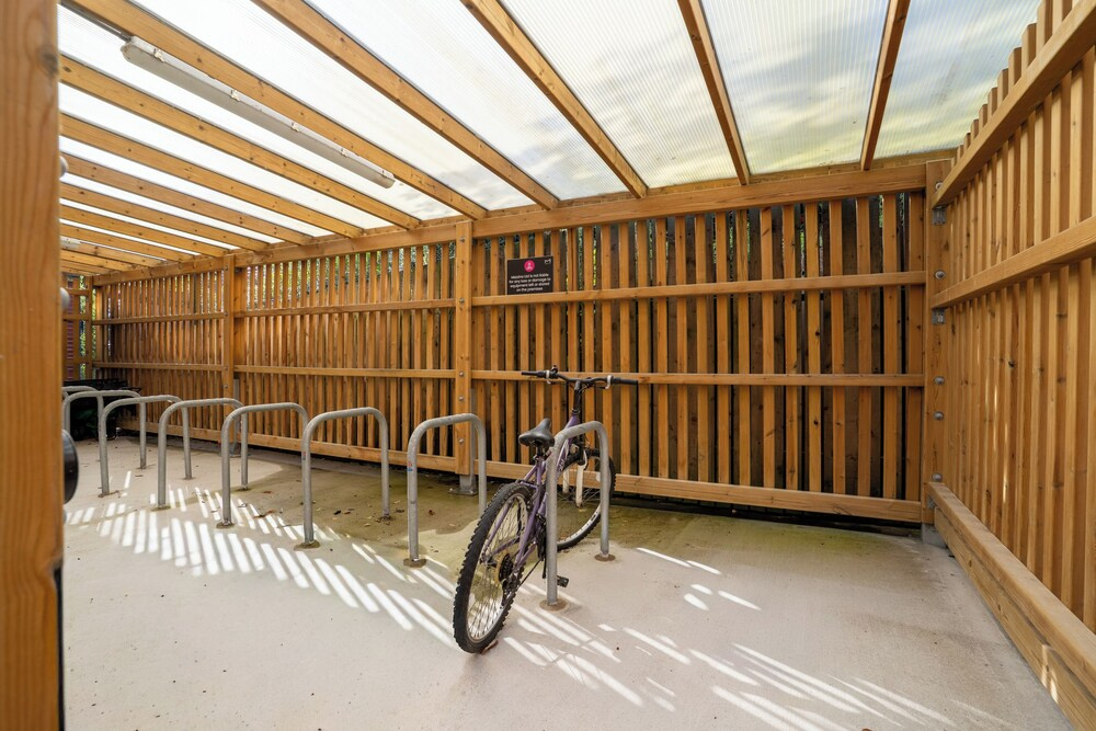 Student Only Sycamore House