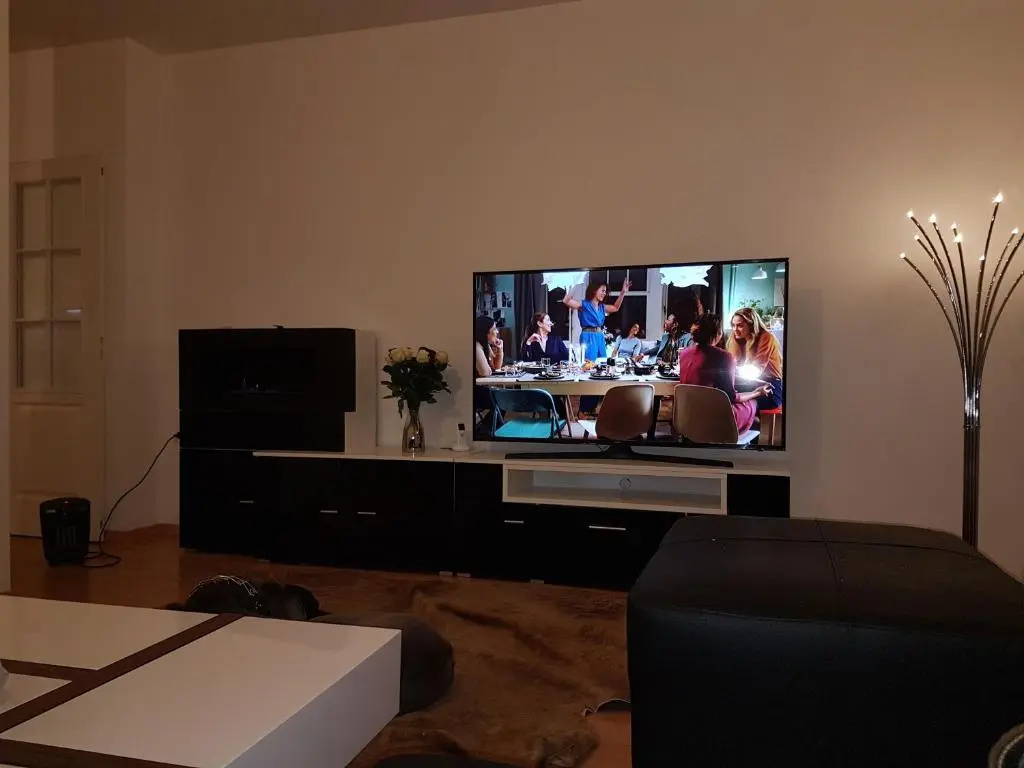 Grand appartement en centre ville