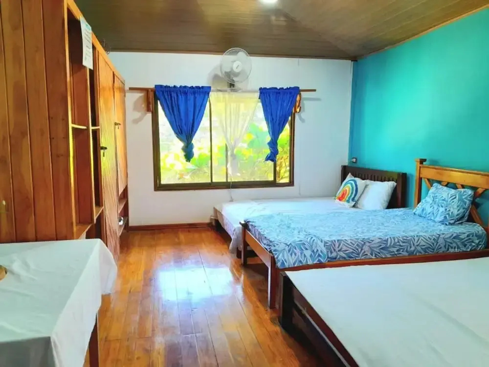 Bed in Dorm