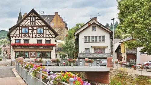 Hotel Restaurant Rebstock - Général