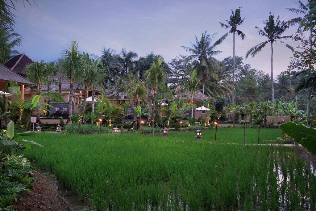 The Sankara Resort
