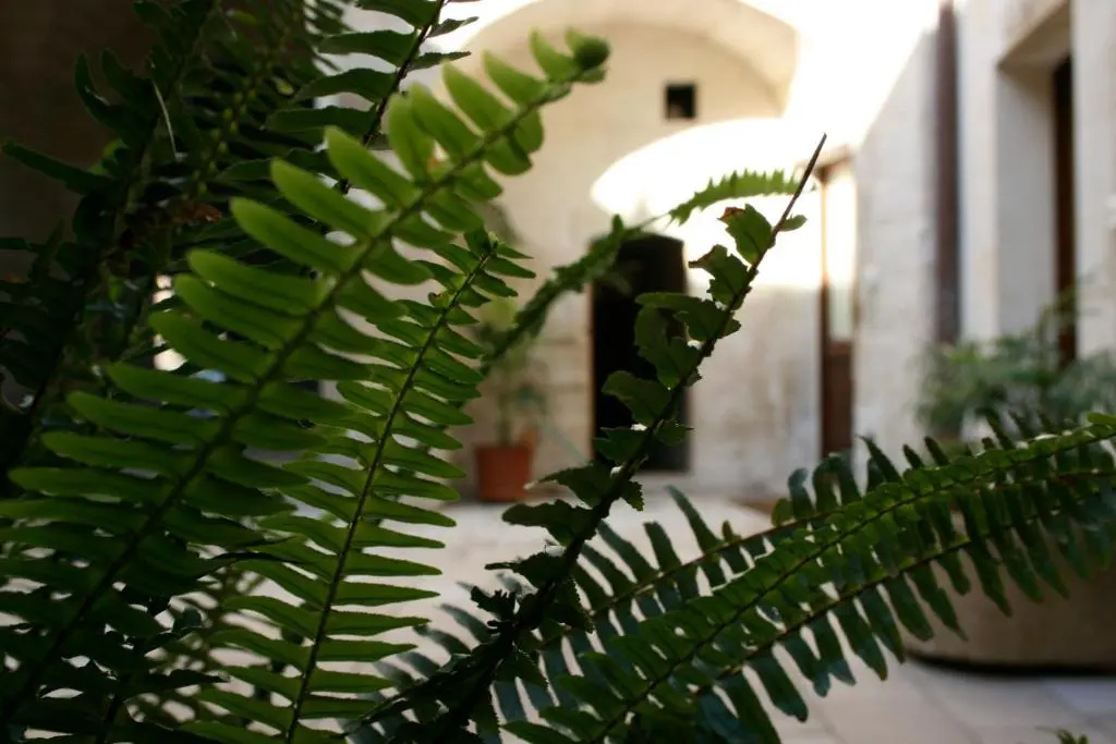 Leccelso Bed And Breakfast