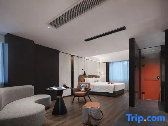 Standard Double room with city view (full double bed)
