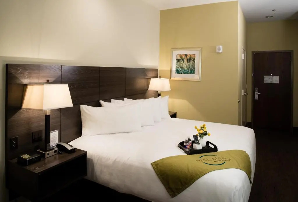 Malana Hotels & Suites - Chambres