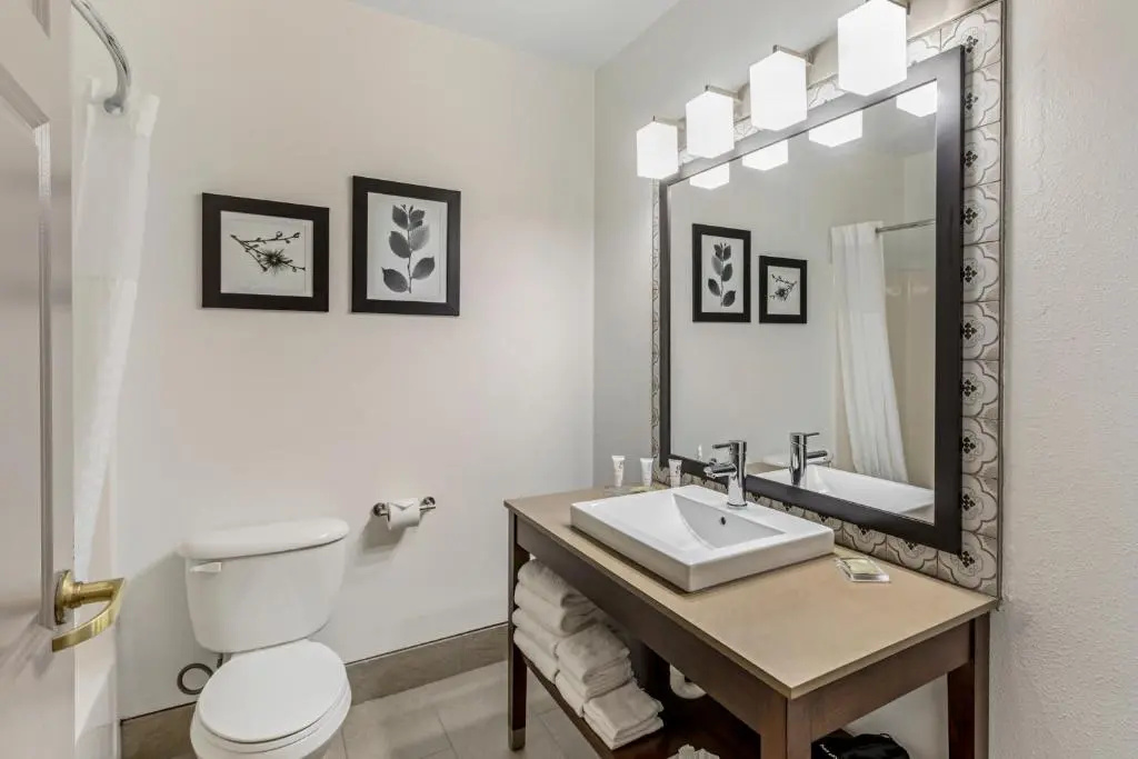 Country Inn & Suites by Radisson, Elk Grove Village/Itasca - Chambres