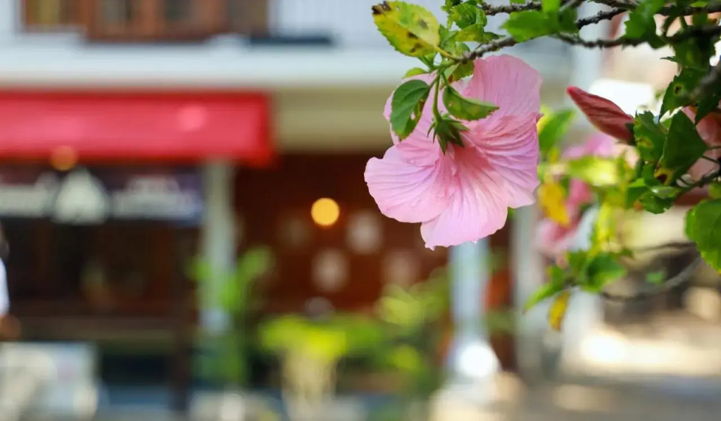 Wisdom Boutique Resort - фото 22